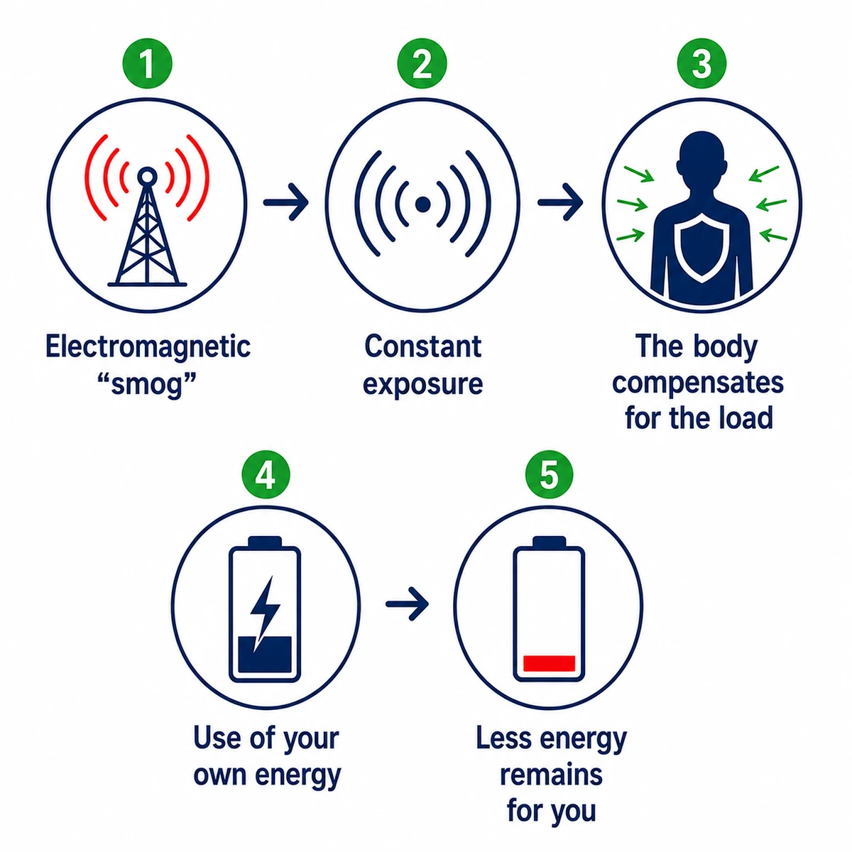 Five stages in the energetic resource model