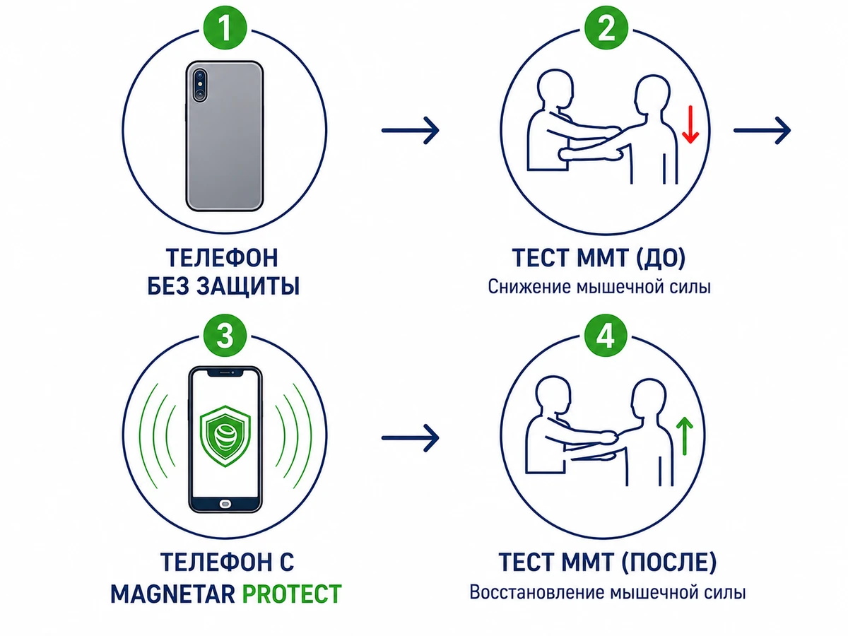 Схема ММТ-теста до и после применения MAGNETAR PROTECT